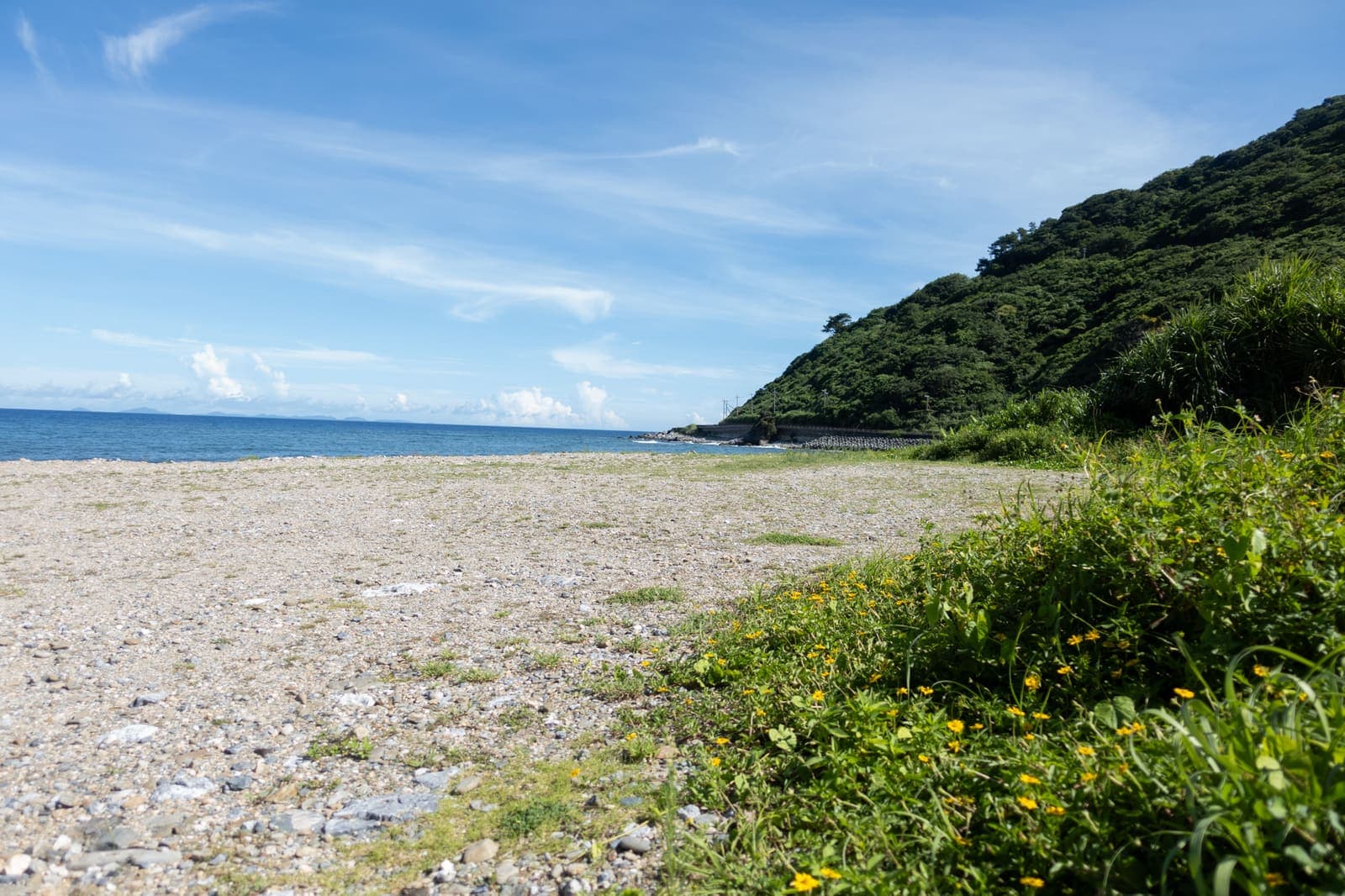 Benoki Camp Spot