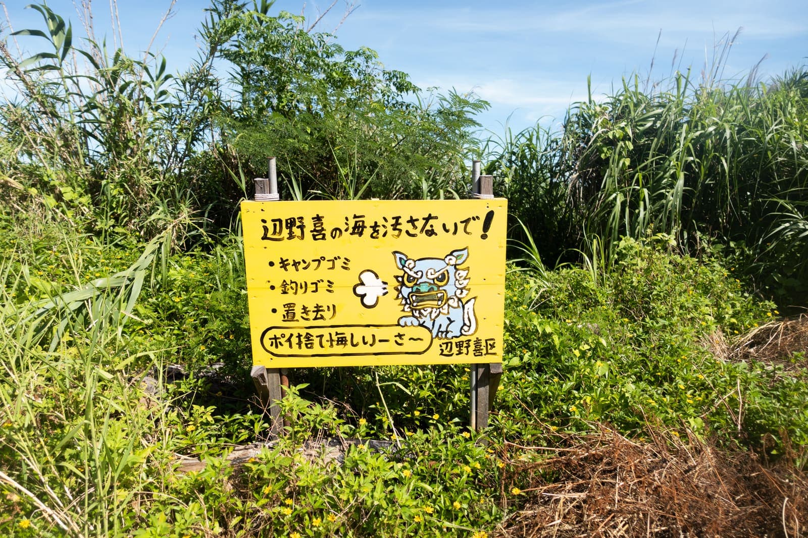 Benoki Camp Spot — photo 2