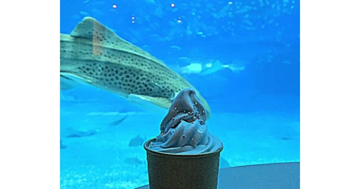 Cafe OCEAN BLUE — photo 3