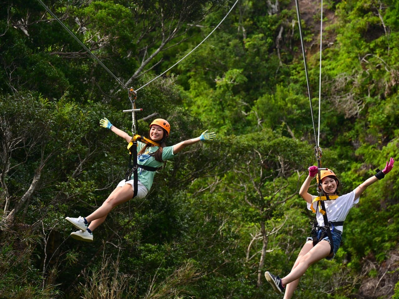 Forest Adventure — photo 3