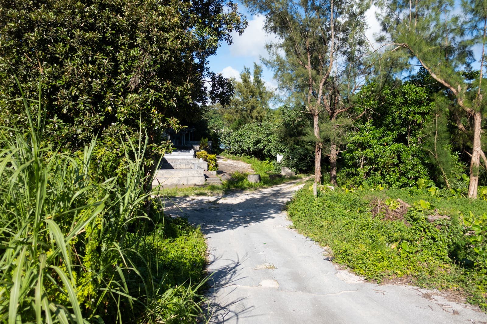 Koki Camp Spot — photo 3