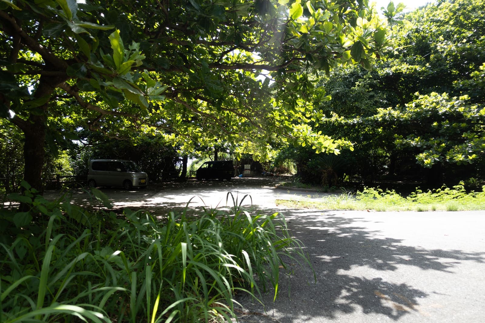Oku Beach Road — photo 2