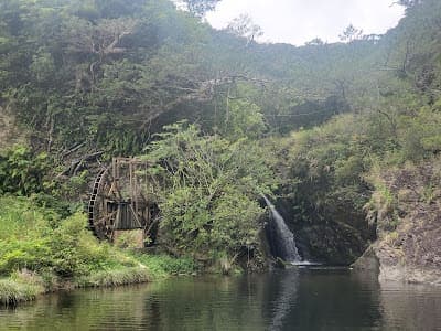 Shizo Gumui — photo 2
