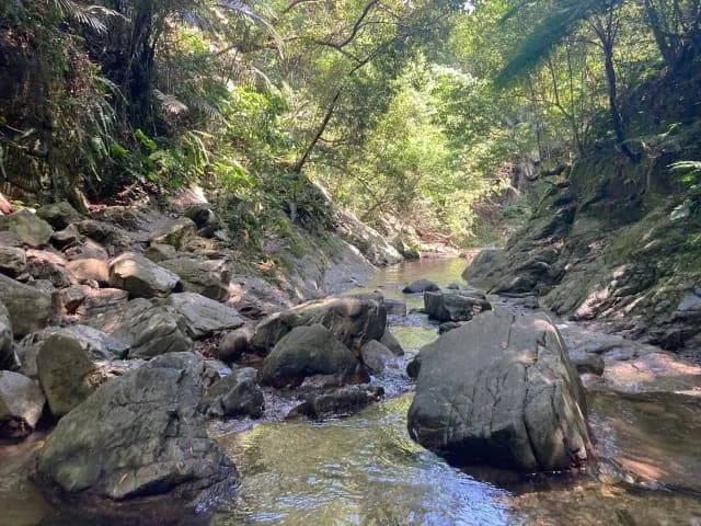 Ta Waterfall — photo 3