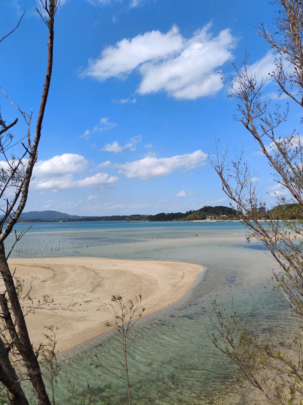 Yagaji Island