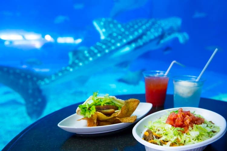Cafe OCEAN BLUE