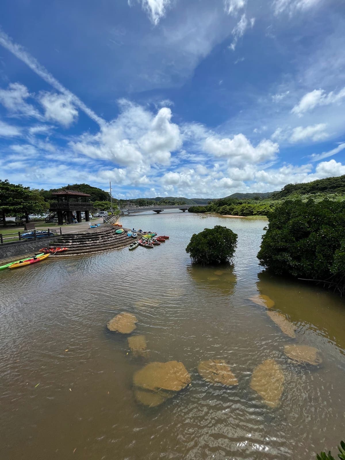 Fureai Mangrove Forrest