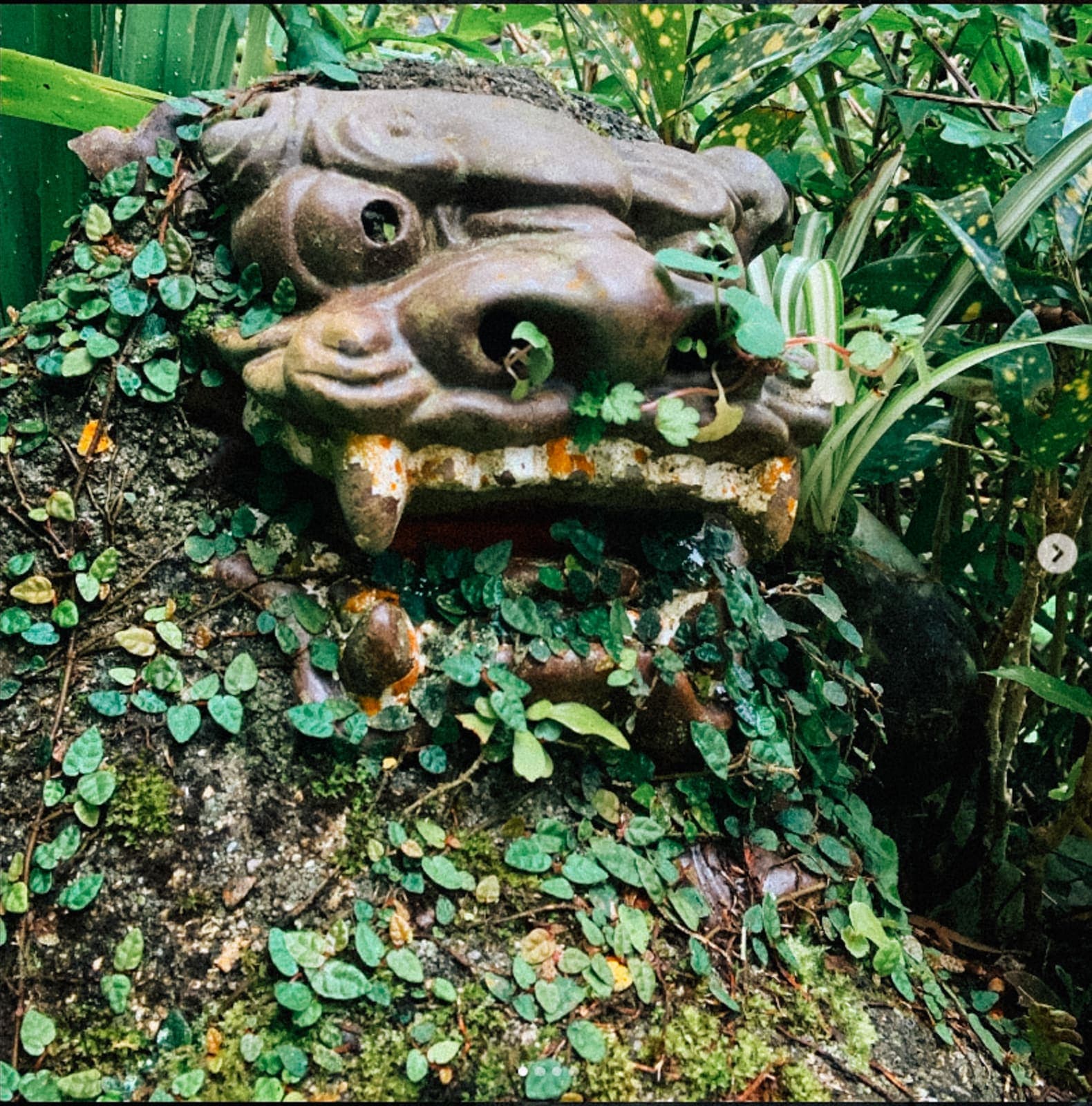 Yachimun Cafe Shisa garden